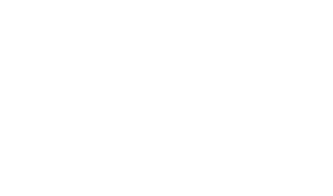 bauernablov dom logo